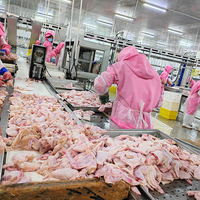 Abattoir complet de poulet de ZB 500Bph-13000Bph avec la chambre froide pour l'abattoir de volaille