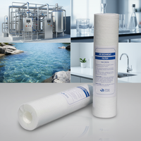 Cartouche filtrante en PP soufflé à chaud de qualité alimentaire, 5 microns, adaptée aux systèmes de purification d'eau potable et d'eau RO.