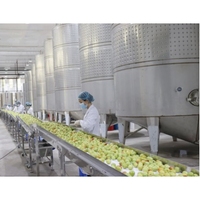 Topkwaliteit Automatische Citroenazijn Productielijn Fruit Wijnazijn Maken Machine Mango Wijn Verwerkingsfabriek