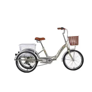 2022 Hot Trung Quốc Giá Rẻ Cargo Bike 3 Bánh Xe Chất Lượng Cao Giá Rẻ 3 Bánh Người Lớn Ba Bánh Xe Đạp Ba Bánh Trike Để Bán