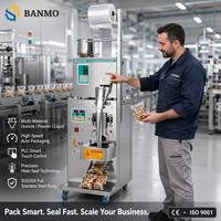 Machine d'emballage verticale automatique BANMO pour poudres et granulés, équipement de conditionnement en sachets à scellage arrière, prix usine de gros