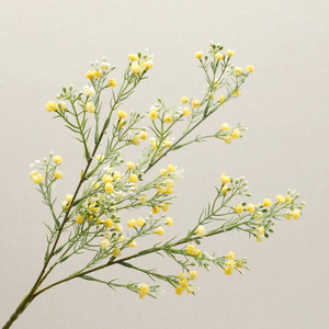Vente en gros de tiges de <span class=keywords><strong>gypsophile</strong></span> artificielle blanche, fausse fleur de <span class=keywords><strong>gypsophile</strong></span> pour bouquet de mariage, vase, décoration de la maison - Product Image 5