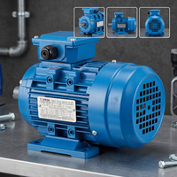 Moteur asynchrone monophasé AC série YL 10 CV 220 V 2 pôles 50/60 Hz, efficacité IE1, pour moulin industriel