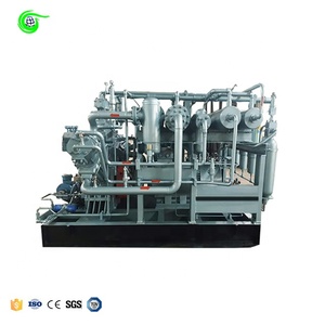 Compresor de Pistón Reciprocante para Biogás y <span class=keywords><strong>Gas</strong></span>, GLP y <span class=keywords><strong>Gas</strong></span> <span class=keywords><strong>Natural</strong></span>, Alimentación CA, 0.6nm3/min, Presión de Succión 10 Bar, Bomba de Pistón Pequeña - Product Image 5