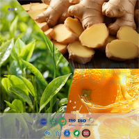 Complément Alimentaire en Capsules de L-Carnitine Tartrate pour Améliorer l'Endurance à l'Exercice, les Antioxydants et Stimuler le Métabolisme - Capsules EGCG