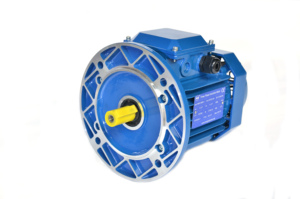 Moteur AC triphasé standard OEM 220V/380V 11KW 3000RPM à induction IP54/IP55 avec boîtier en fonte - Product Image 2