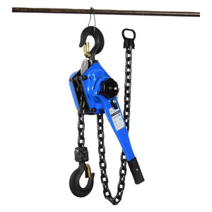 รอกโซ่เหล็กขนาดเล็ก 25 กก. รอกโซ่แบบแมนนวล <span class=keywords><strong>3</strong></span> ตัน สำหรับร้านค้าปลีกและโรงแรม - Product Image 6