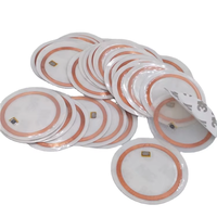 Mini Etiqueta de PVC de 50 mm T5577, Adhesiva, Regrabable, Etiqueta RFID de 125 kHz