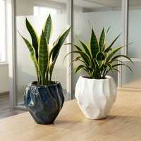 Pots à succulentes, pot à fleurs en céramique émaillée à la main avec texture ondulée, pot à plantes créatif, ensemble de pots à fleurs en céramique