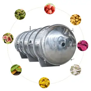 Aidear sebze ve meyve işleme makinesi liyofilizasyon vakumlu dondurucu kurutucu kurutma makinesi