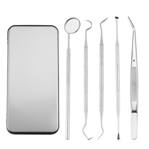 Stainless Steel Dental Tool <b>Set</b> (6 Pieces): Plaque Remover, Probe, Hook, Tartar Cleaner, Pet Dental Clinic - Product Image 2