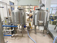 Équipement de production de bière commerciale 200L 300L 500L, mini brasserie pour restaurants, bars, hôtels et brasseries