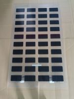 Panneau solaire transparent BIPV 150W, module 18V, prix direct usine pour application en serre