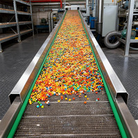 Nastro Trasportatore a Rete in Acciaio Inox per Alimenti, Attrezzatura di Sterilizzazione e Trasporto per Linee di Produzione di Alimenti in Scatola