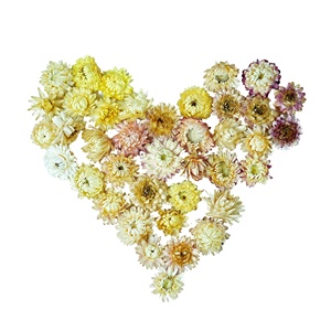Beau thé aromatisé parfumé <span class=keywords><strong>de</strong></span> haute qualité thé <span class=keywords><strong>de</strong></span> fleurs en fleurs chinoises séchées chrysanthème à sept couleurs - Product Image 2