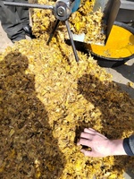 Rode Palmolie Koude & Hete Persmachine Automatische Landbouwmachines Met 500 Kg/u Capaciteit