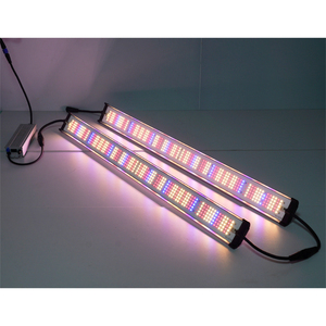 แถบไฟ LED สำหรับปลูกผัก IP65กันน้ำเต็มสเปกตรัม3.0 umol/<span class=keywords><strong>j</strong></span> - Product Image 1