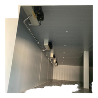 Chambre froide de plain-pied à économie d'énergie avec contrôle numérique, compresseur Copeland, en acier inoxydable, prix usine, pour stockage frigorifique