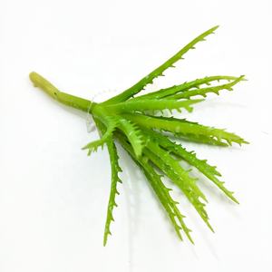 The ฟันเลื่อย aloe ตกแต่งภายในบ้าน mini succulent พืช - Product Image 4