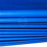 Linyi Factory 120gsm PE Tarp Cover Tissu industriel prêt à l'emploi-Rouleau de bâche en polyéthylène étanche pour l'utilisation de sac de tente enduit