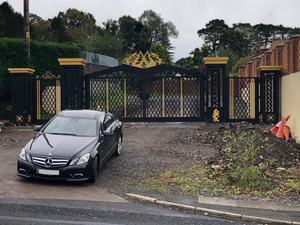 יוקרה עתיק יצוק ברזל מפואר שער ראשי עיצוב בחניה שער עיצוב גבול קיר שער למכירה - Product Image 2