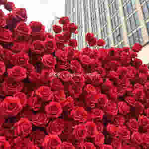 Panel de Pared de Flores Artificiales de Lujo en 5D, Color Rojo, 8 pies x 8 pies, con Soporte, Arreglo Personalizado, para Fiestas y Eventos - Product Image 4