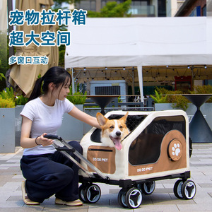 Poussette Corgi détachable et pliable, transporteur pour chats et chiens, cage de poussette réversible élégante. - Product Image 1