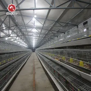 Équipement de cage de poulet d'élevage de volaille du Soudan pour le projet d'alimentation de poulet 20000