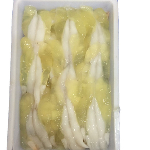 Mejor Servicio, Calamar Illex Argentino Congelado, Huevas de Calamar Illex, Bloque de Materia Prima Entera en Stock - Product Image 1