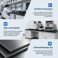 Banc de laboratoire modulaire sur mesure en acier, résistant aux produits chimiques, avec plateau en résine époxy, pour laboratoire de chimie scolaire.