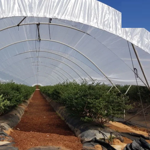 Serre tunnel monopente durable en polyéthylène haute résistance avec ventilation optimisée, contrôle de la température et résistance aux UV - Product Image 1