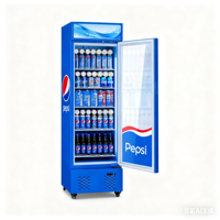 Réfrigérateur Commercial Vitré pour Bar, Refroidisseur de Boissons à Air, Acier Inoxydable, Classe Énergétique 5 Étoiles, Verrouillage de Porte