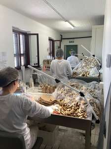 Hongo Porcini Seco de Origen Europeo, Alto en Proteínas, Rico en Fibra, Bajo en Sal, Bolsa de Alimentos de Calidad de 500g para Uso a Granel - Product Image 6