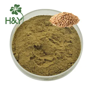 Top Quality Price Light Malt Extract Powder Light Malt Extract