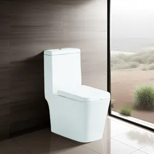 现代陶瓷WC一体式卫生间，带卫生洁具S形疏水阀或P形疏水阀排水模式批发，适合公寓使用
