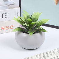Planta Suculenta Artificial de 9x10.5cm, Ecológica, de Alta Simulación, en Maceta Blanca de Plástico Verde, Decoración de Escritorio para Interiores y Exteriores