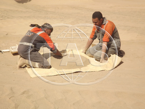 Fertilizante Natural de roca de fosfato egipcio Fosfato de calcio de alta calidad Nutrición agrícola Fertilizante mineral Spot - Product Image 2