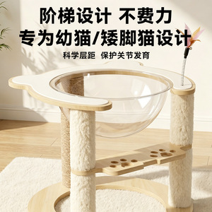Combo de rascador y cama para gatos, duradero, resistente al desgaste, sin pelusas, árbol para gatos con cápsula de sisal, suministros para mascotas para todas las estaciones. - Product Image 5