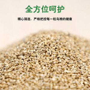 Natural Barnyard <b>Grass</b> Seed Bird Food Mixed Ingredients Easily Digestible Grains For Parrot Cockatiel Pet <b>Feeding</b> 1200ml 4000ml - Product Image 3