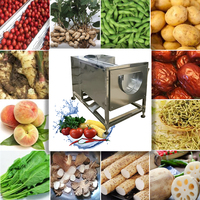 Borstelrolwasmachine voor zeevruchten: schelpjes, garnalen, oesters, aardappel, gember, komkommer, bamboescheuten, yam, ananas