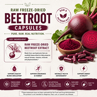 Soutien Bio-Actif à Base de Betterave Fermentée Biologique 1000mg Capsules Formulation Avancée Partenaire de Livraison OEM en Gros