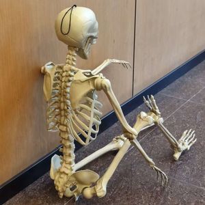 Esqueleto Humano Gigante de 60 Polegadas em Tamanho Real para Decoração de Halloween com Juntas Posicionadas - Product Image 3