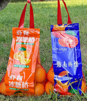25cm 30cm Largeur 2kg-4kg Sac de fruits en maille avec poignée étiquetée Emballage en plastique orange Sac de filet de fruits