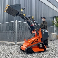 Derette DRT450 Bersertifikasi CE Euro 5 Mesin 0.5 Ton Mini Track Skid Steer Loader untuk Konstruksi