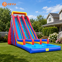 Tobogán Acuático Inflable Ceyu de Dos Carriles con Pared de Escalada y Piscina Infantil para Jardín, Hogar y Fiestas Infantiles al Aire Libre