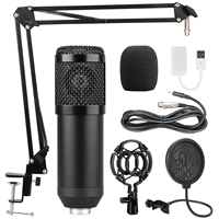 Microphone de Jeu Professionnel Biner A11 Tendance sur TikTok pour PC, Microphone USB à Condensateur pour Enregistrement en Studio