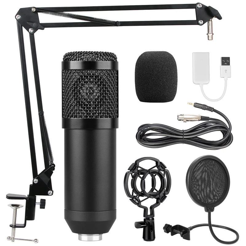 Biner OEM V11 Professional Wired Microphone