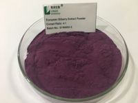 Europese Bosbes/Vlierbessen/Moerbei Fruit/Zwarte Bessen/Blueberry Extract 25% Anthocyanidins Extract