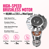 Sèche-cheveux FirePhoenix M2 MAX 2800W 80000RPM avec moteur sans balais, buse magnétique ionique, auto-nettoyant, 485g, double tension 127V-240V