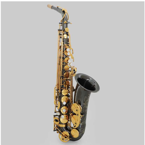 Jek <span class=keywords><strong>Alto</strong></span> Saxophone Chất lượng cao cho người mới bắt đầu, Kỳ Thi Cấp nhập cảnh, cấp độ người lớn - Product Image 2